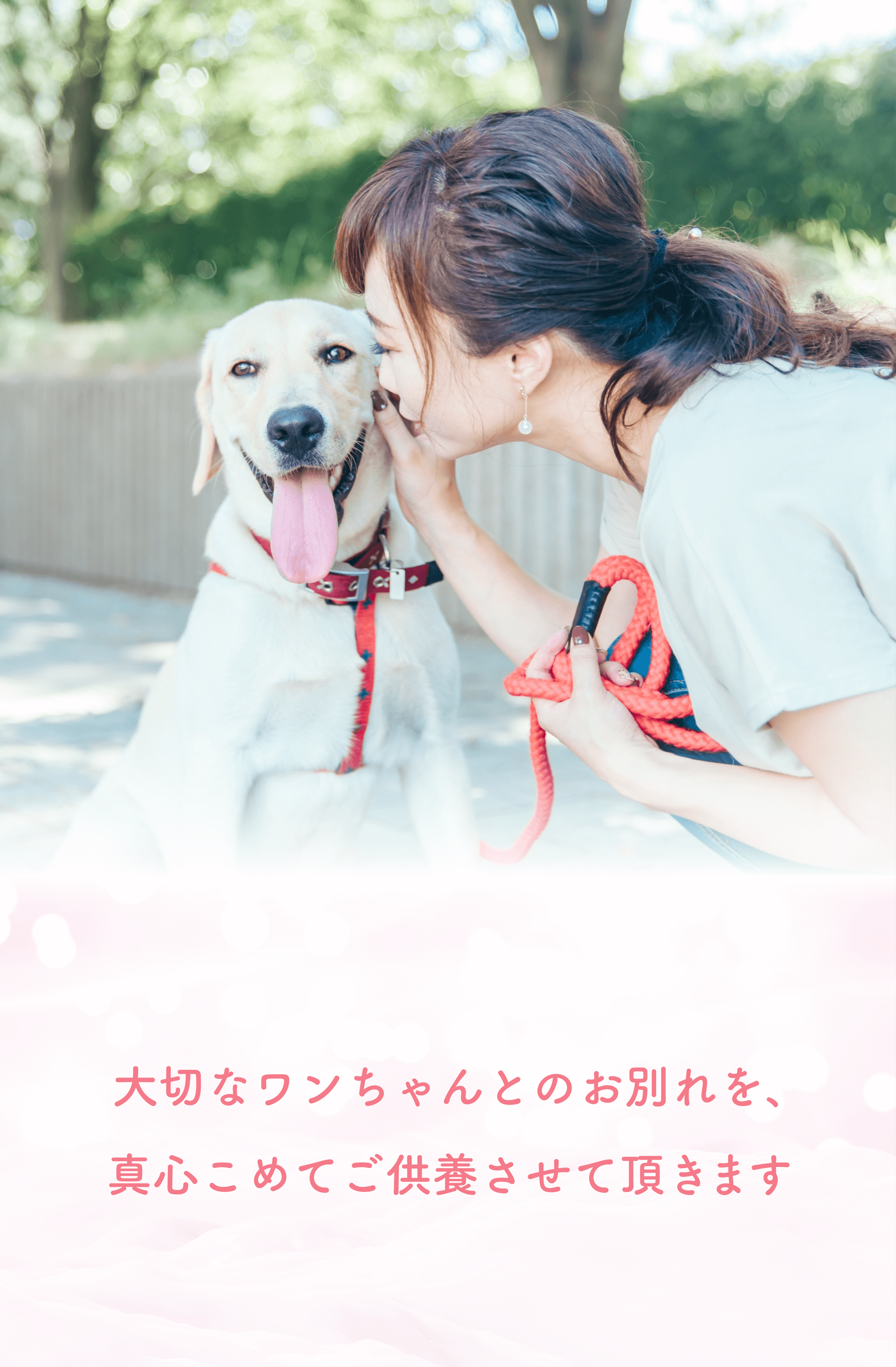 大切な犬のペット火葬・葬儀なら東京ペット霊堂