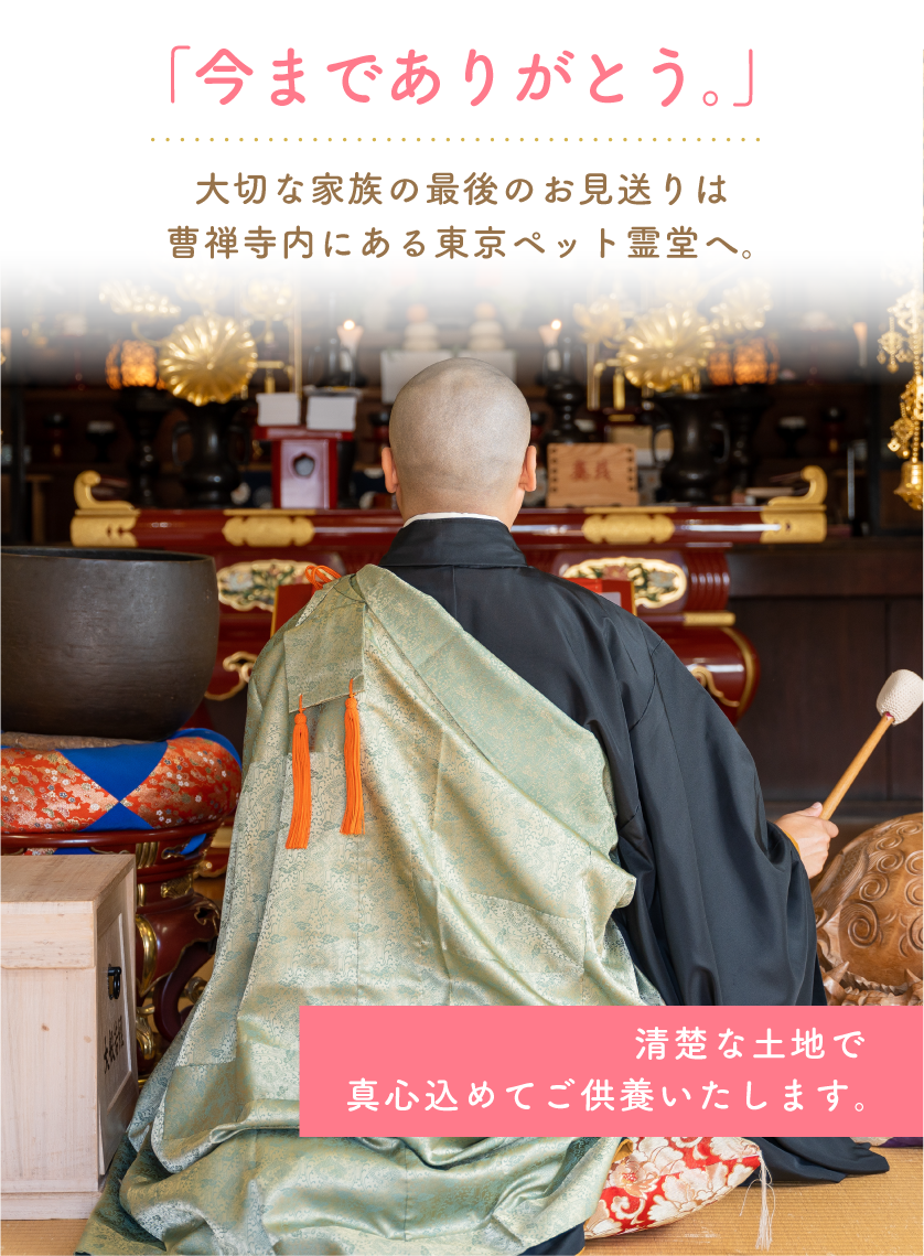 大切な家族の最後のお見送りは、曹禅寺内にある東京ペット霊堂へ。清楚な土地で真心込めてご供養いたします。